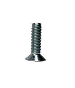 SCREW COUNTERSUNK HEAD M4x12MM (50 pieces) - Praga