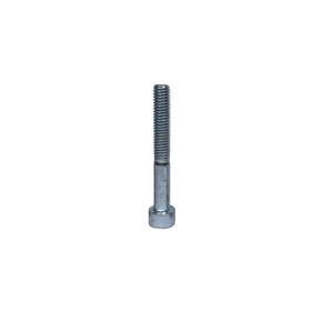 SCREW CYLINDRICAL HEAD M8x30MM (50 pieces) - Praga