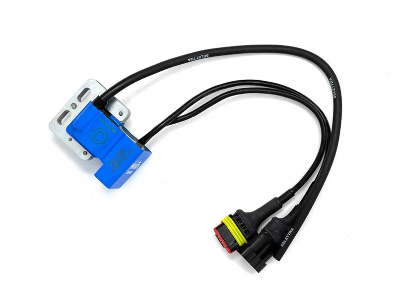 X30125933C IAME X30 Ignition Coil