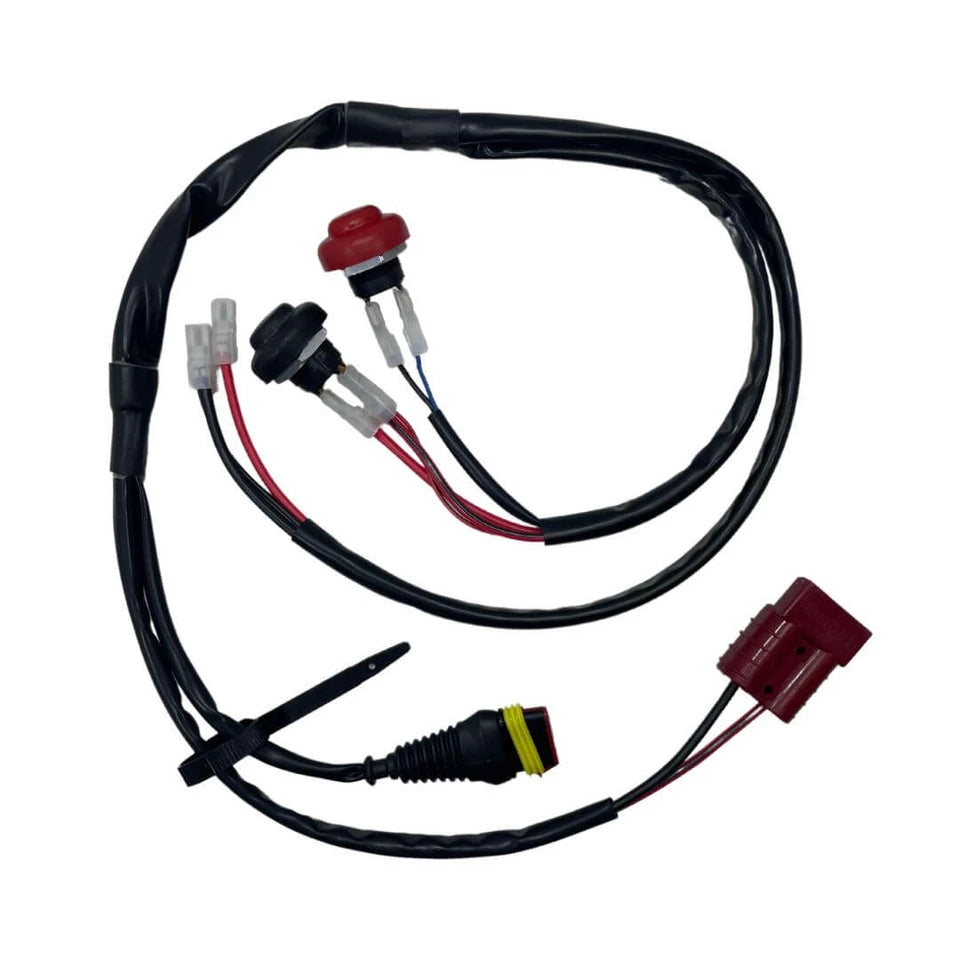 IFE-05004 IAME X30 - KA100 - Swift Wiring Harness