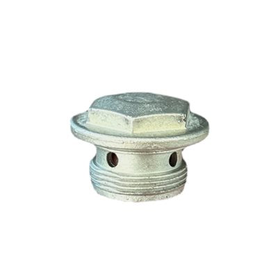 PLUG SCREW