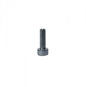 SCREW CYLINDRICAL HEAD M4x12MM (50 pieces) - Praga
