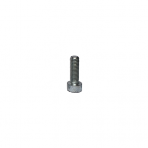SCREW CYLINDRICAL HEAD M5X10mm (50 pieces) - Praga