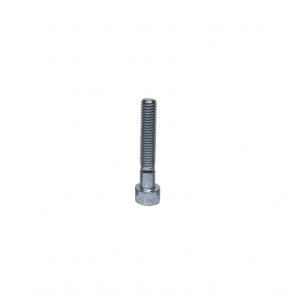 SCREW CYLINDRICAL HEAD M6x80MM (50 pieces) - Praga