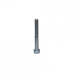 SCREW CYLINDRICAL HEAD M8x40MM (50 pieces) - Praga