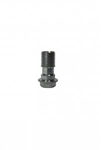 SCREW OIL PIPE CONNECTION M10 (10 pieces) - Praga
