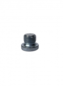 THREADED OIL CAP M10 (10 pieces) - Praga