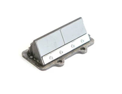 X3011830-RC IAME X30 Reed Block Complete KA100