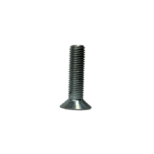SCREW COUNTERSUNK HEAD M6x20MM (50 pieces) - Praga